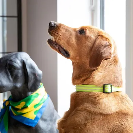 The Old Doghouse Сasa de vacaciones