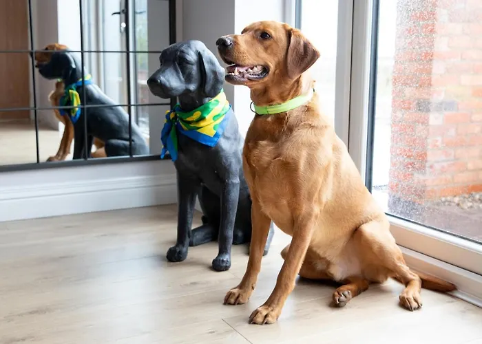 Hébergement de vacances The Old Doghouse York