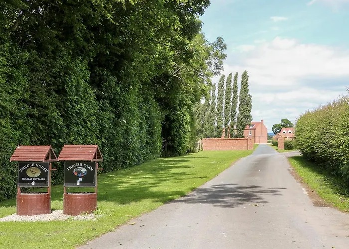 The Old Doghouse York