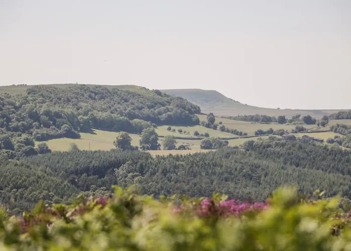 The Old Doghouse Hébergement de vacances York