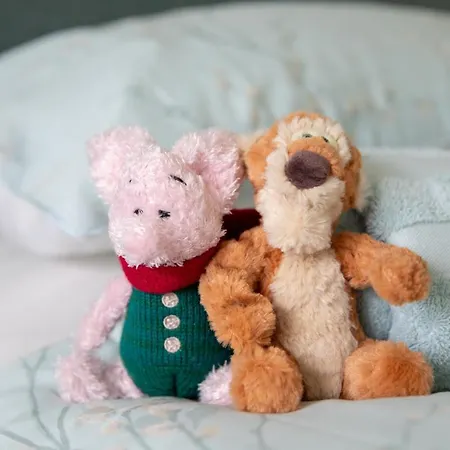 Semesterbostad The Old Doghouse York