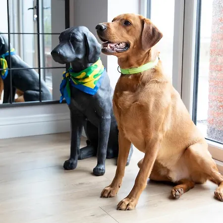 Semesterbostad The Old Doghouse York