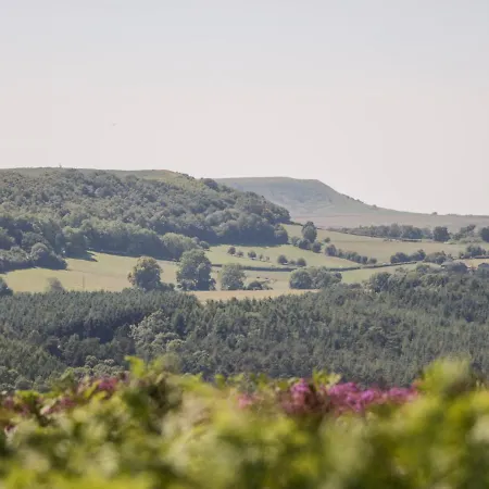 The Old Doghouse Semesterbostad York