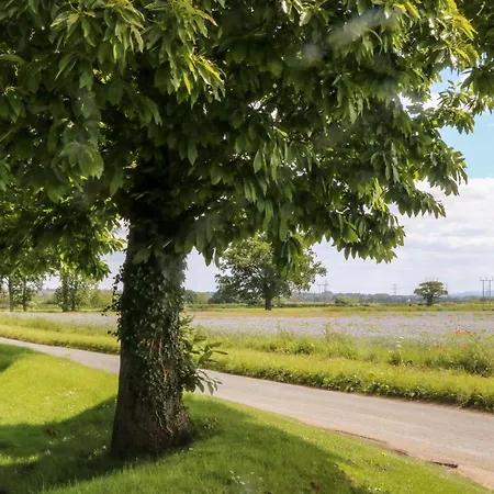 The Old Doghouse York