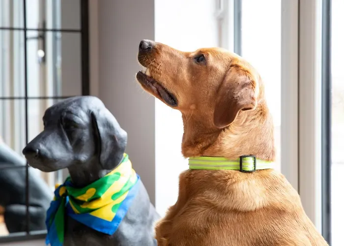 The Old Doghouse Nyaraló