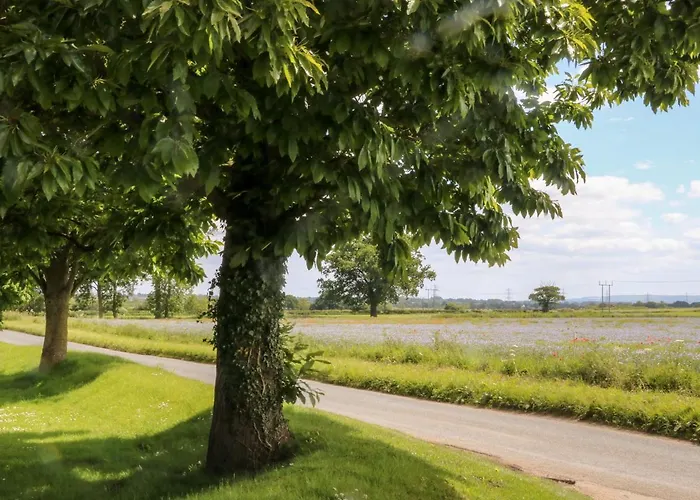 The Old Doghouse يورك